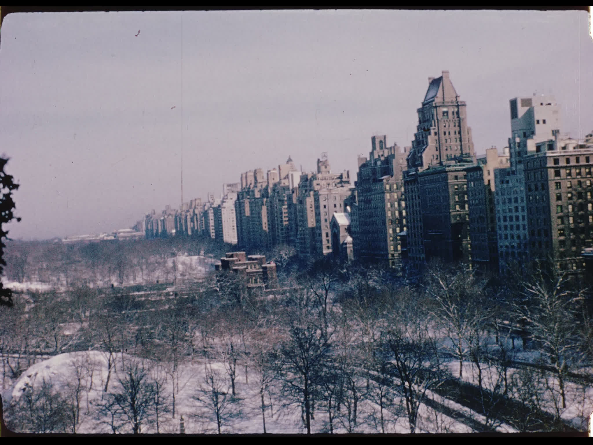 Central Park in Winter
