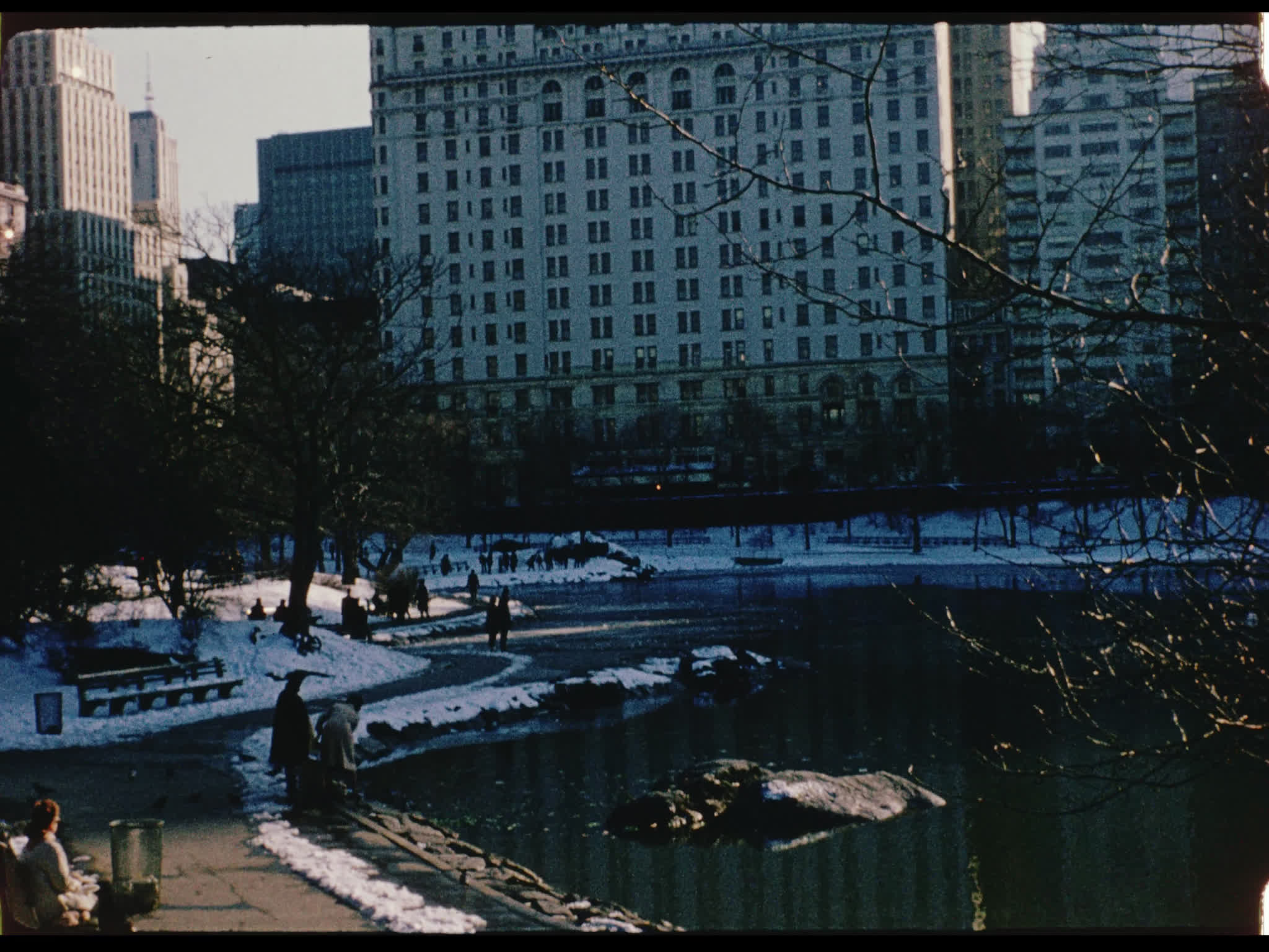 Central Park in Winter
