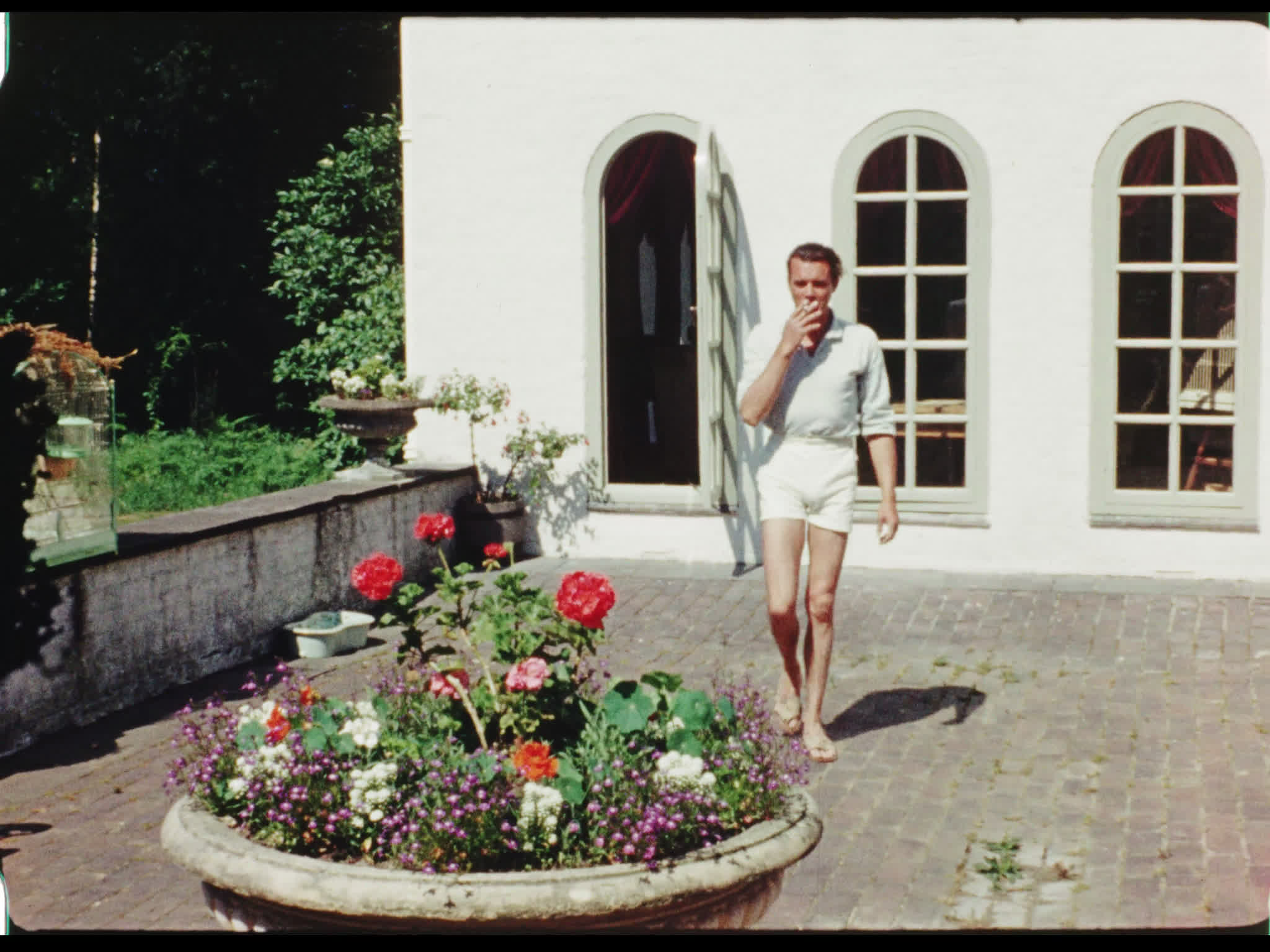 Dirk and His Dogs at Drummers Yard