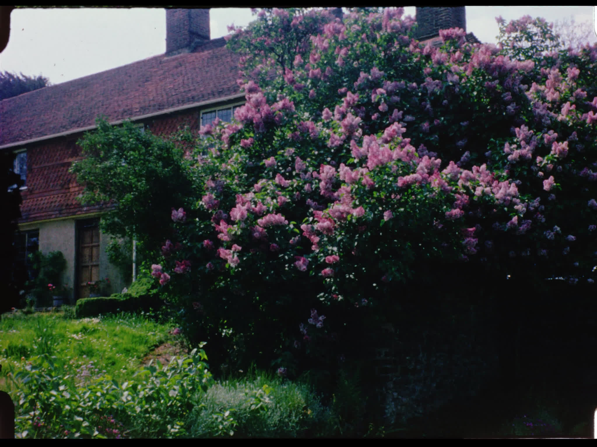 Nore Farm in the Spring