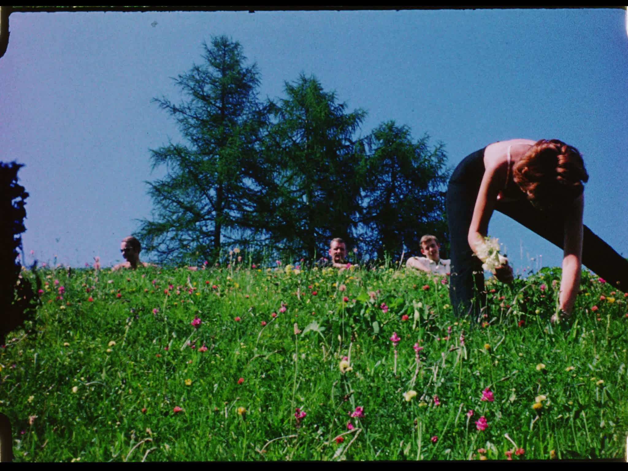 Jill Melford Picking Flowers