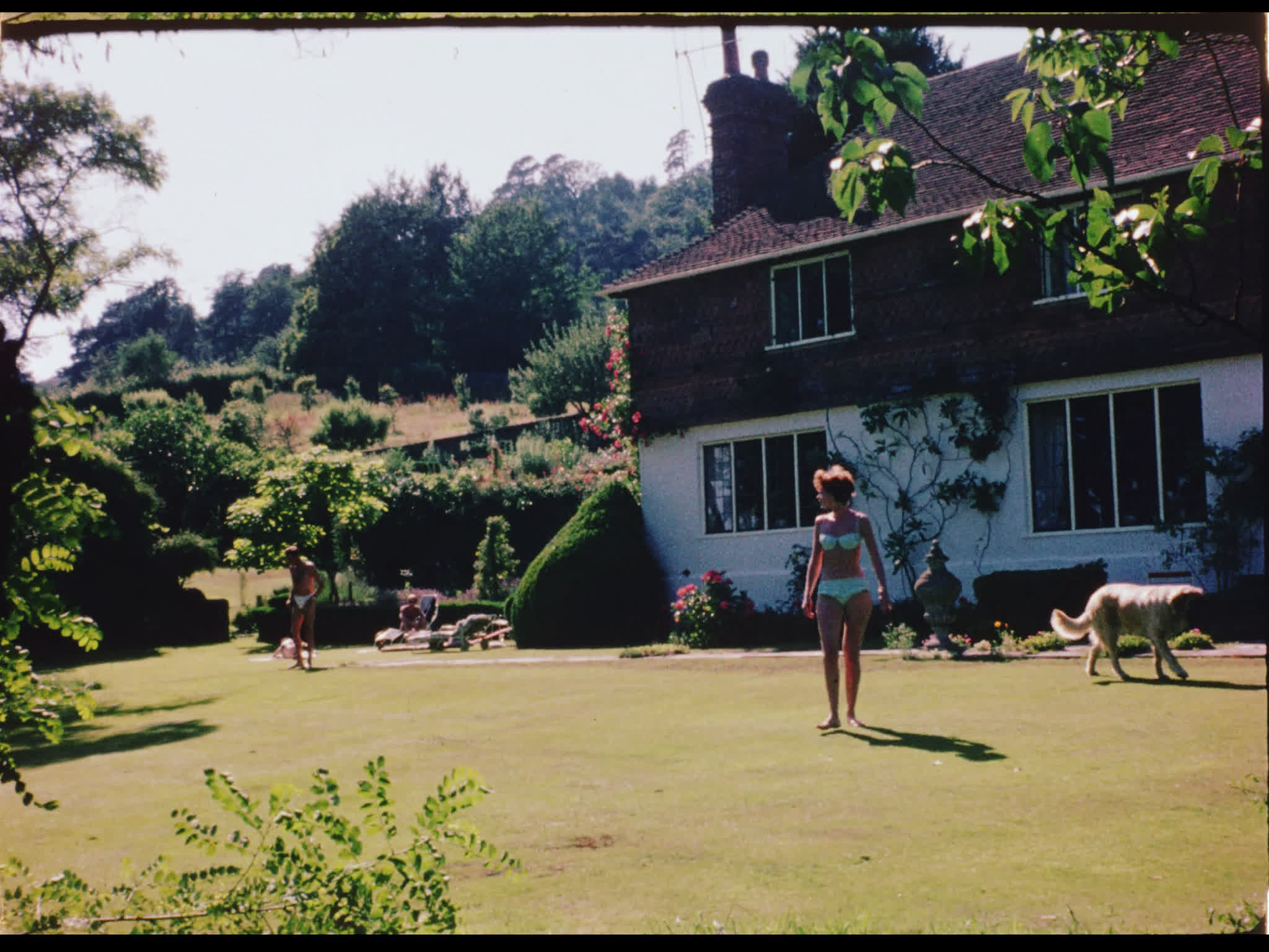 Jill Melford and Candy the Mastiff