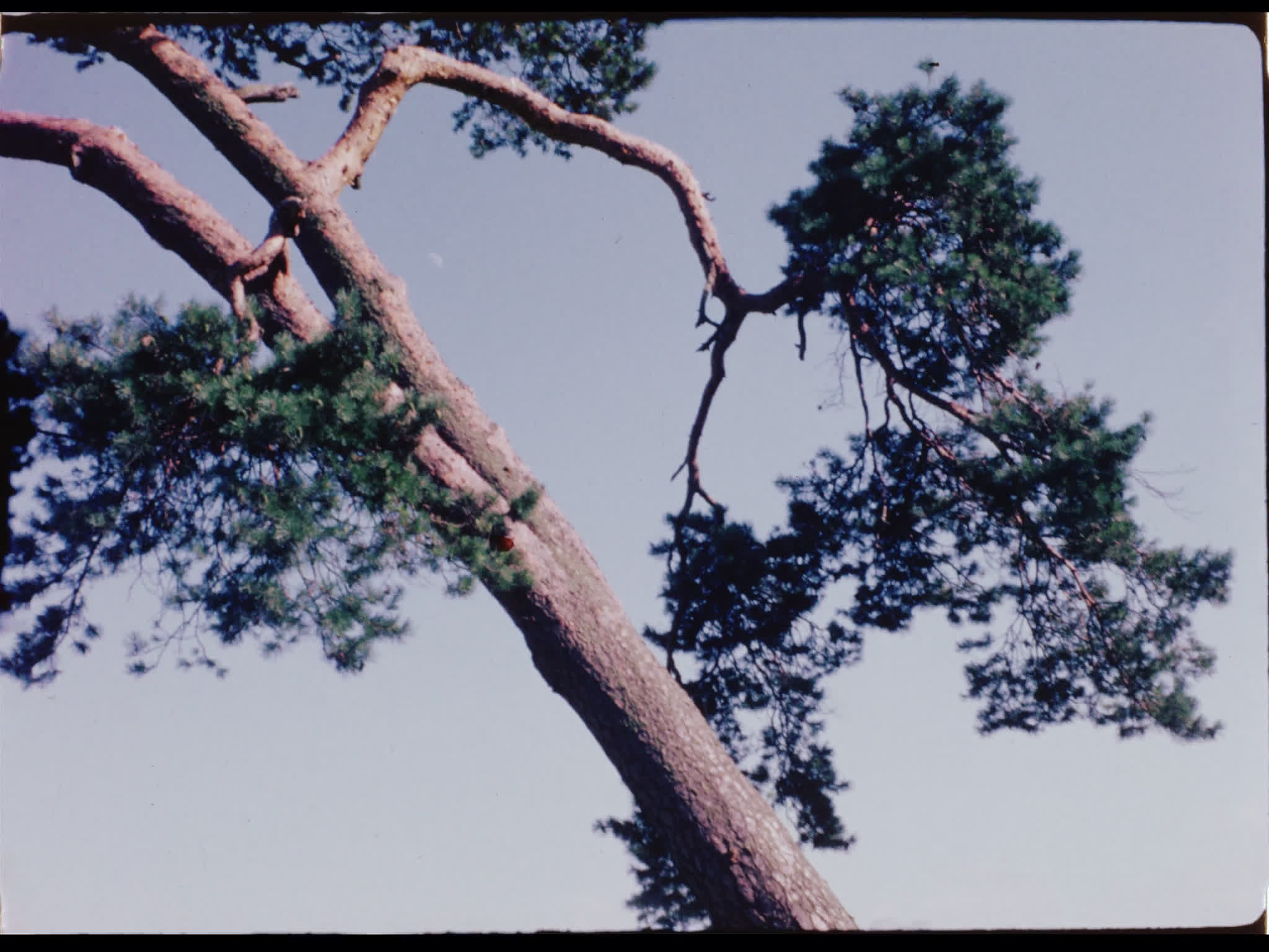 John Standing and Jill Melford