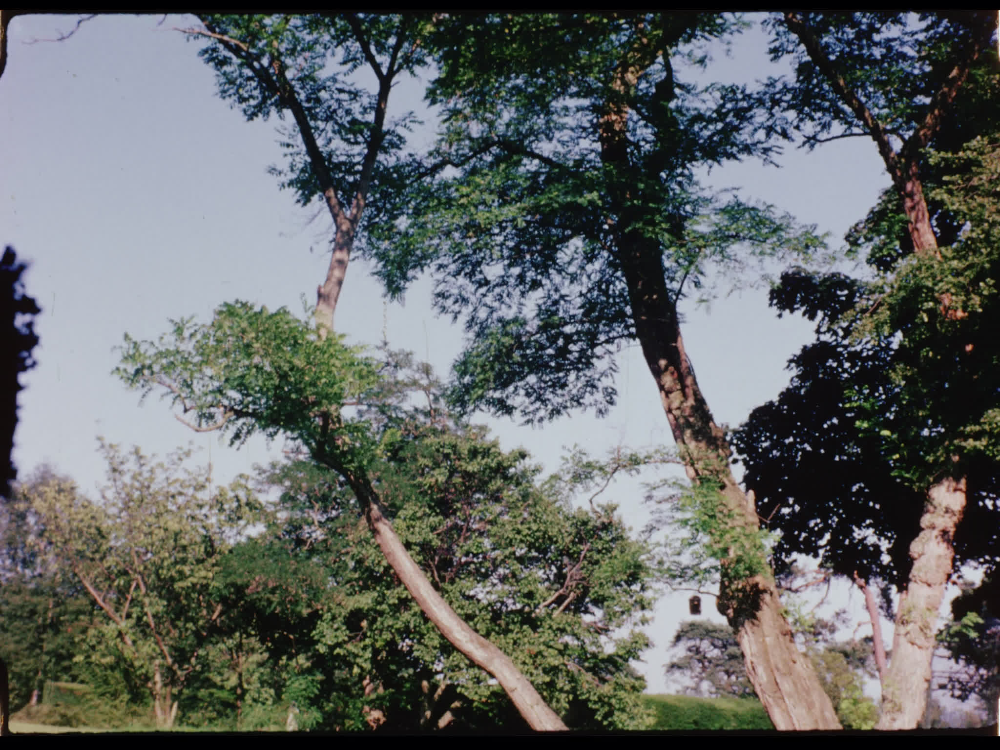 Sunbathing at Nore Farm