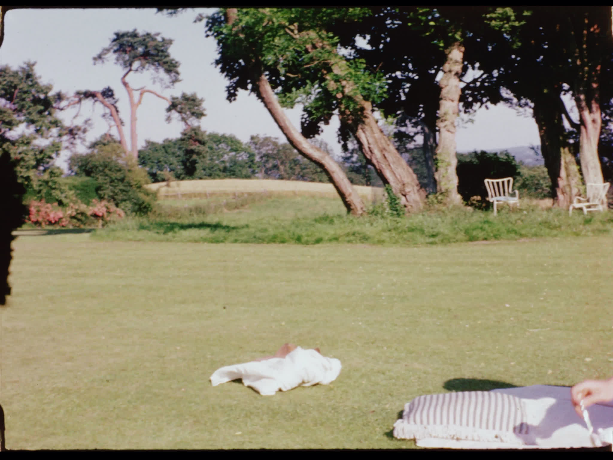 Sunbathing at Nore Farm