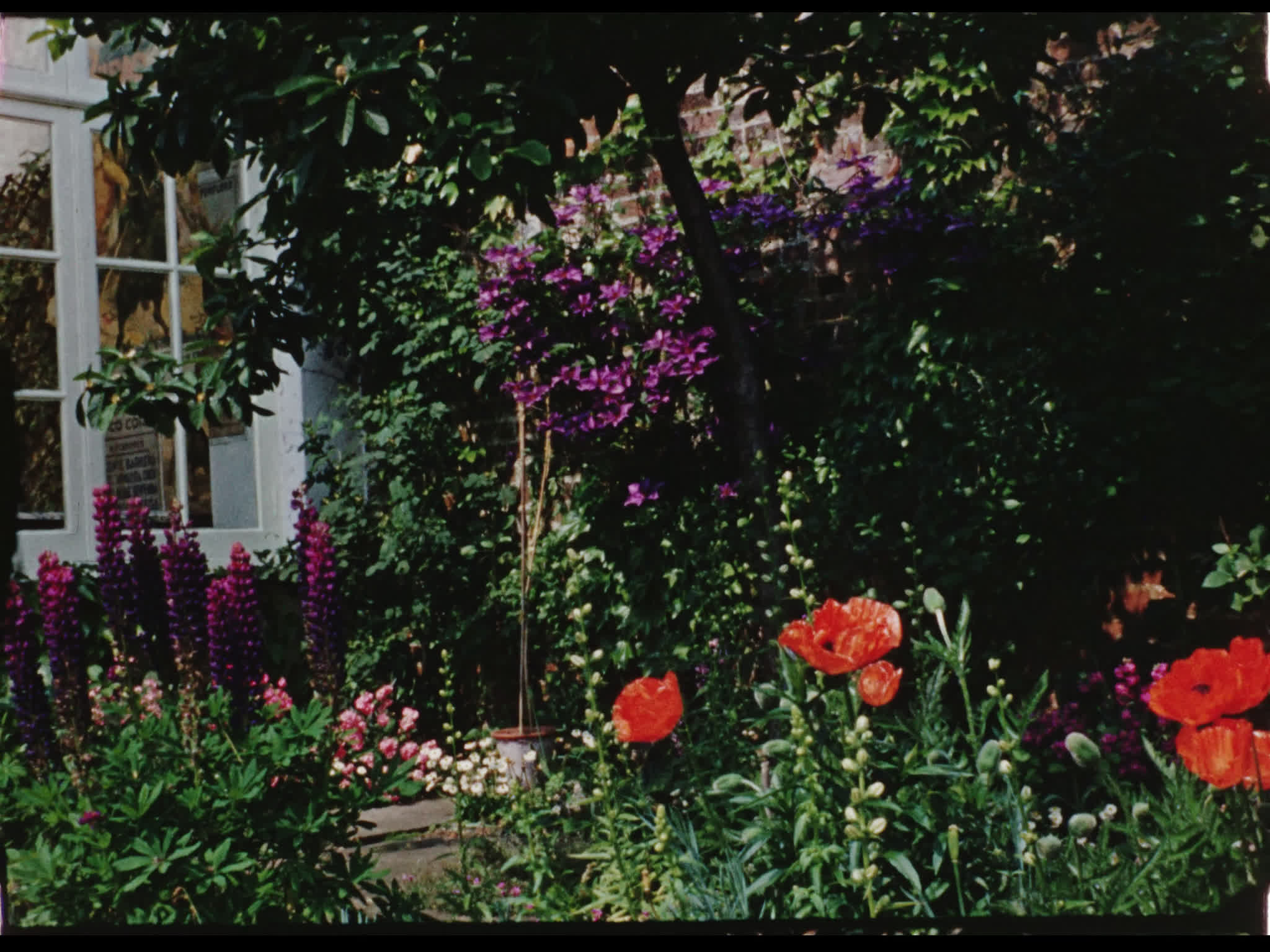 Flowers Outside Beel House