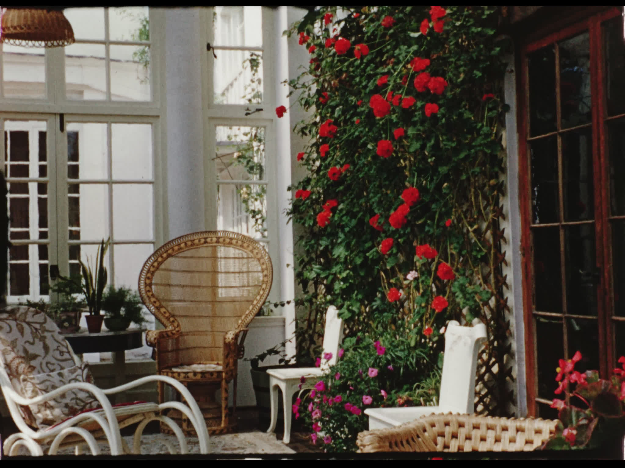 Interior Beel House Conservatory
