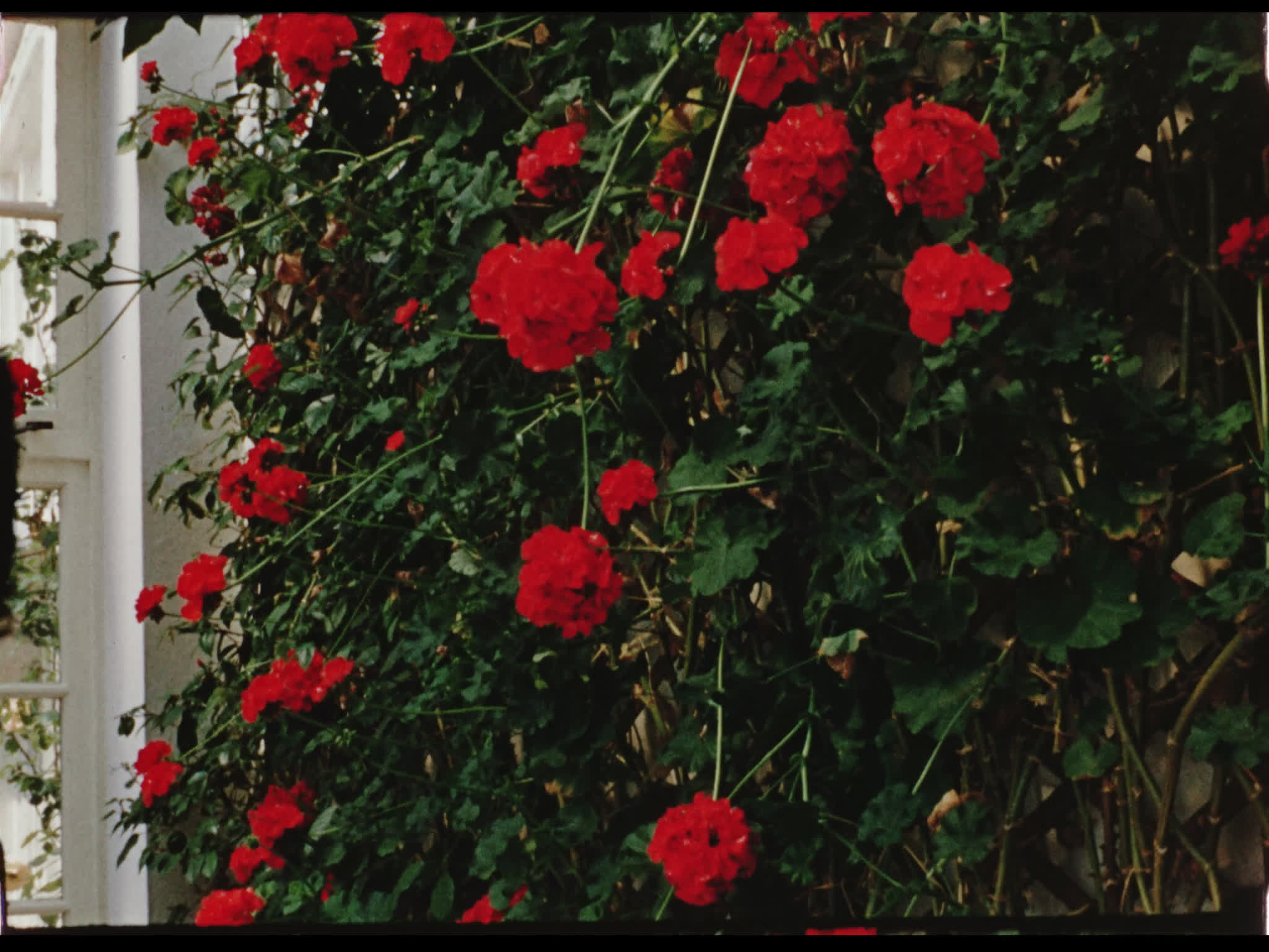 Interior Beel House Conservatory