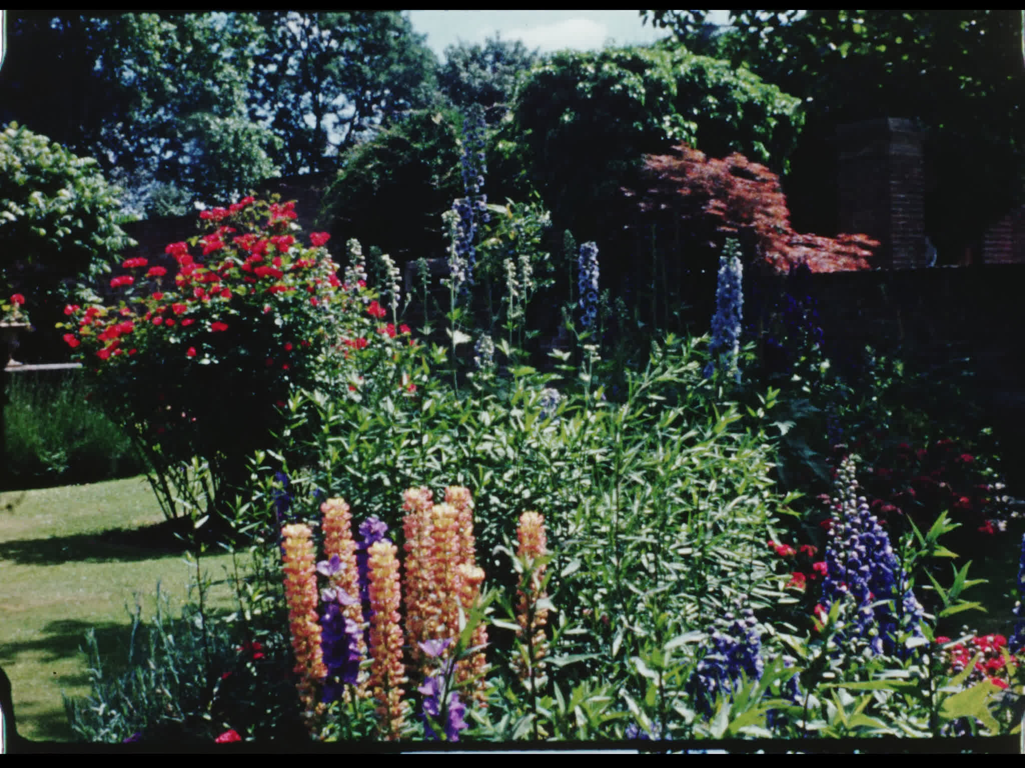 Flowers Outside Beel House