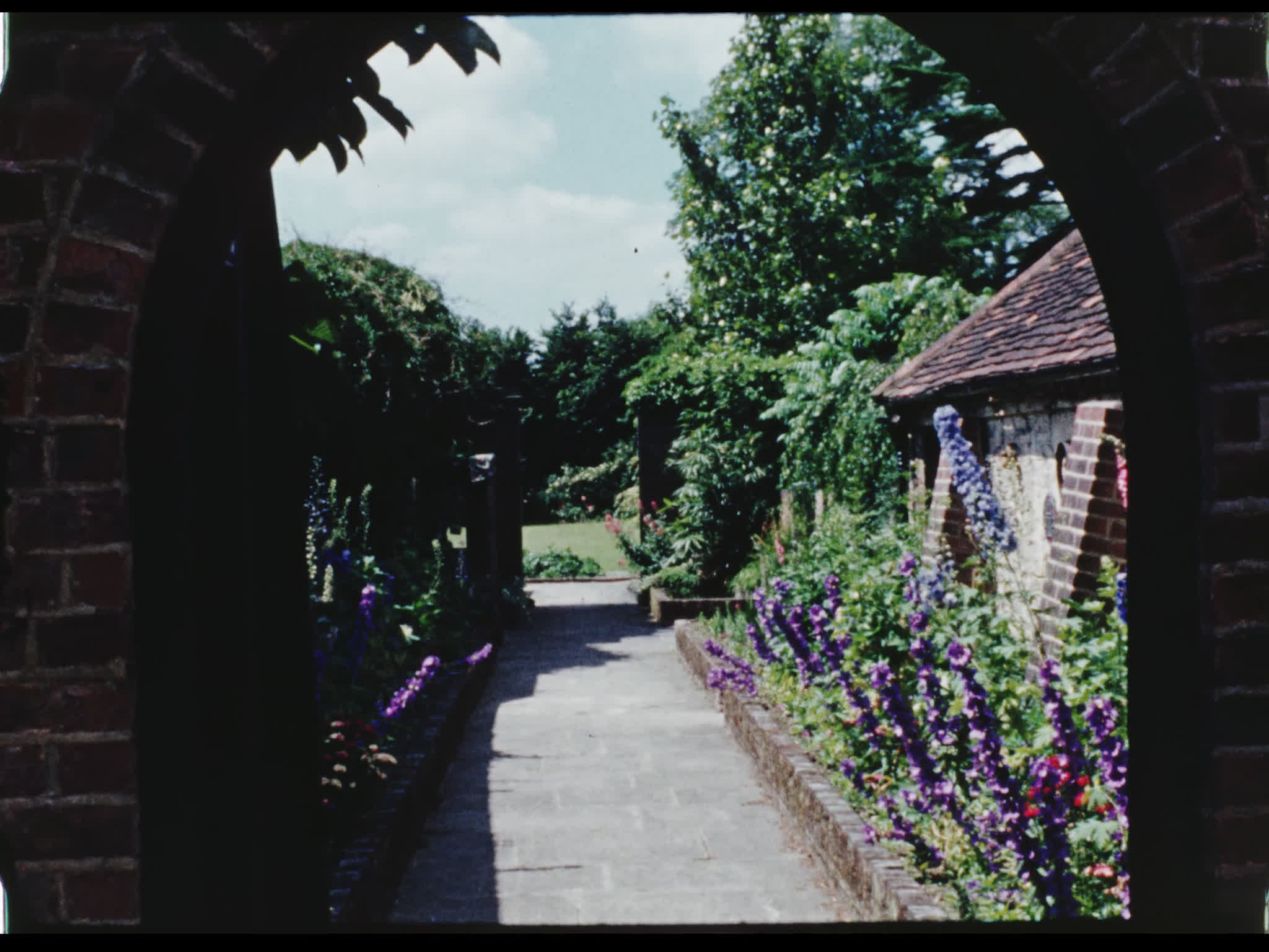 Flowers Outside Beel House