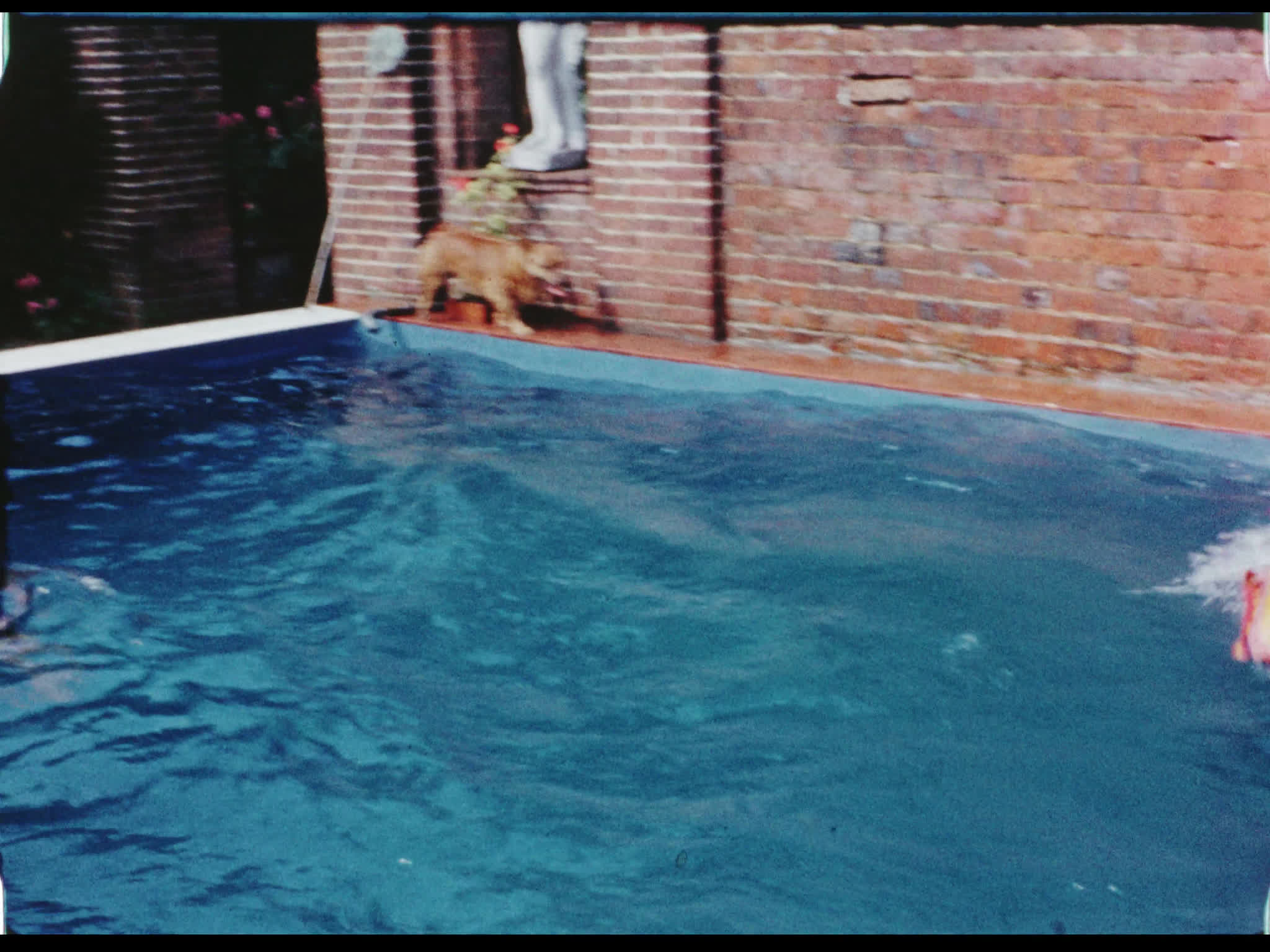 Gareth Bogarde and Jean Simmons in the Pool at Beel House