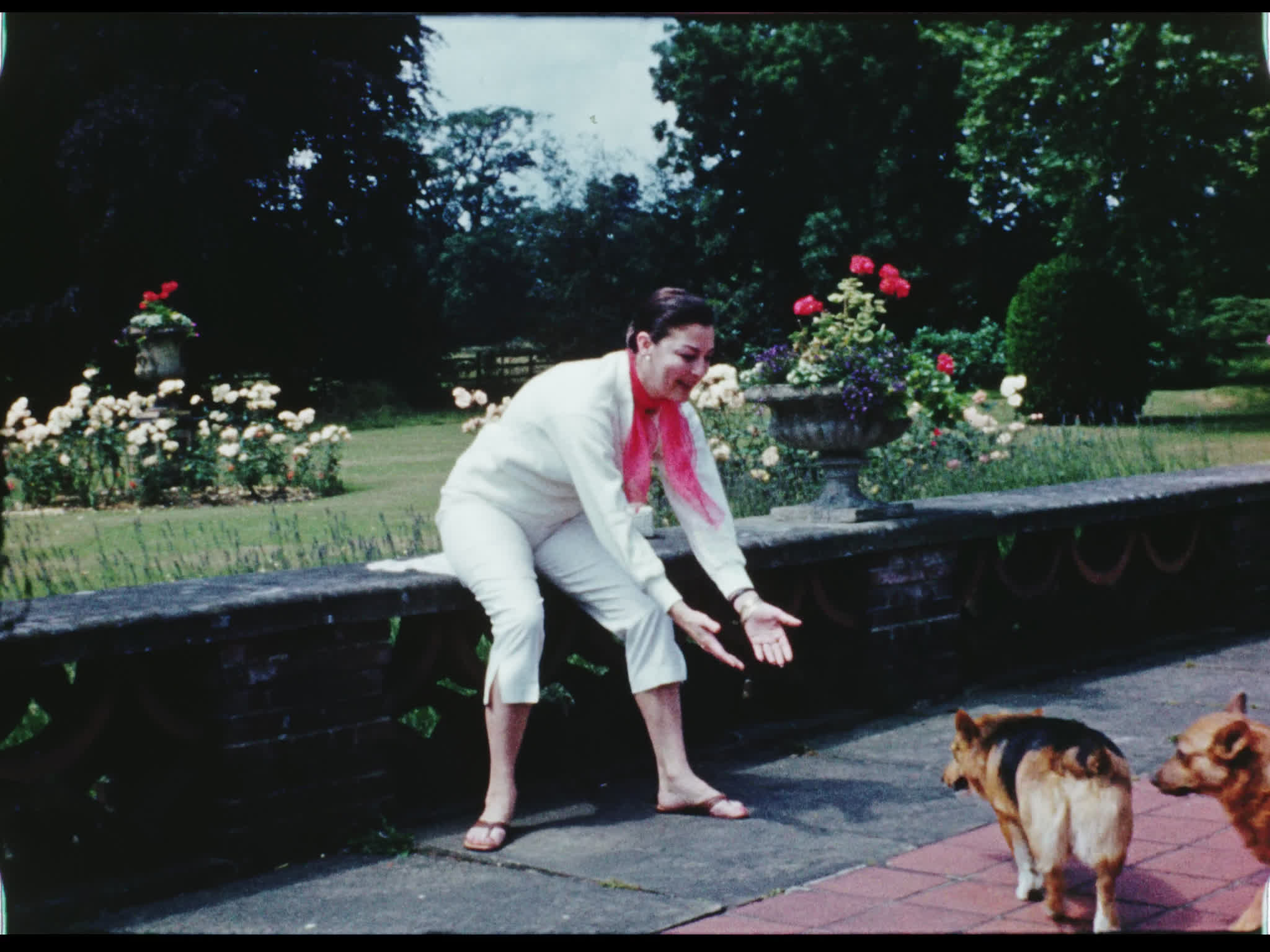 Ava Gardner and Corgis at Beel House