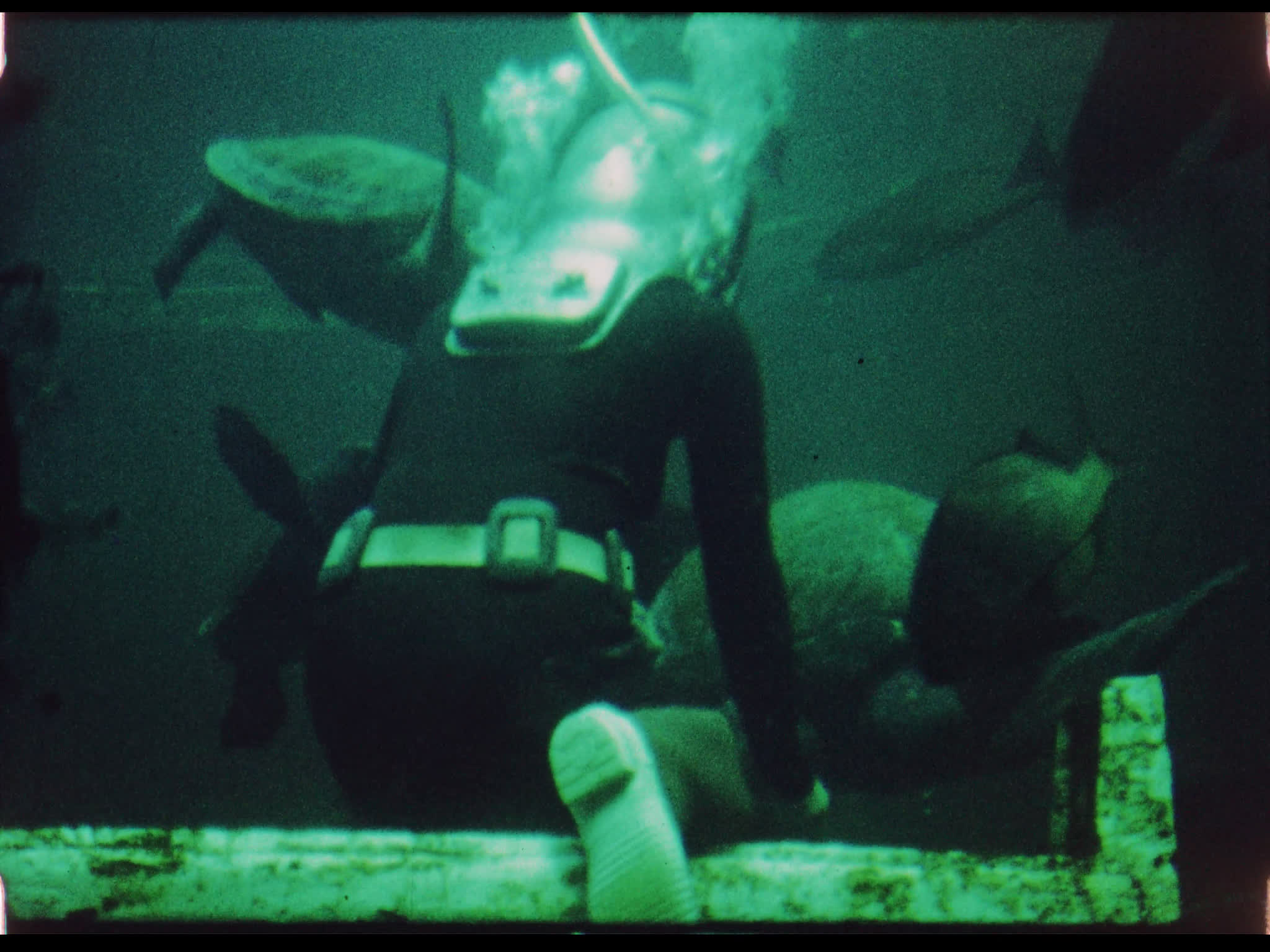 Scuba Diver in Aquarium