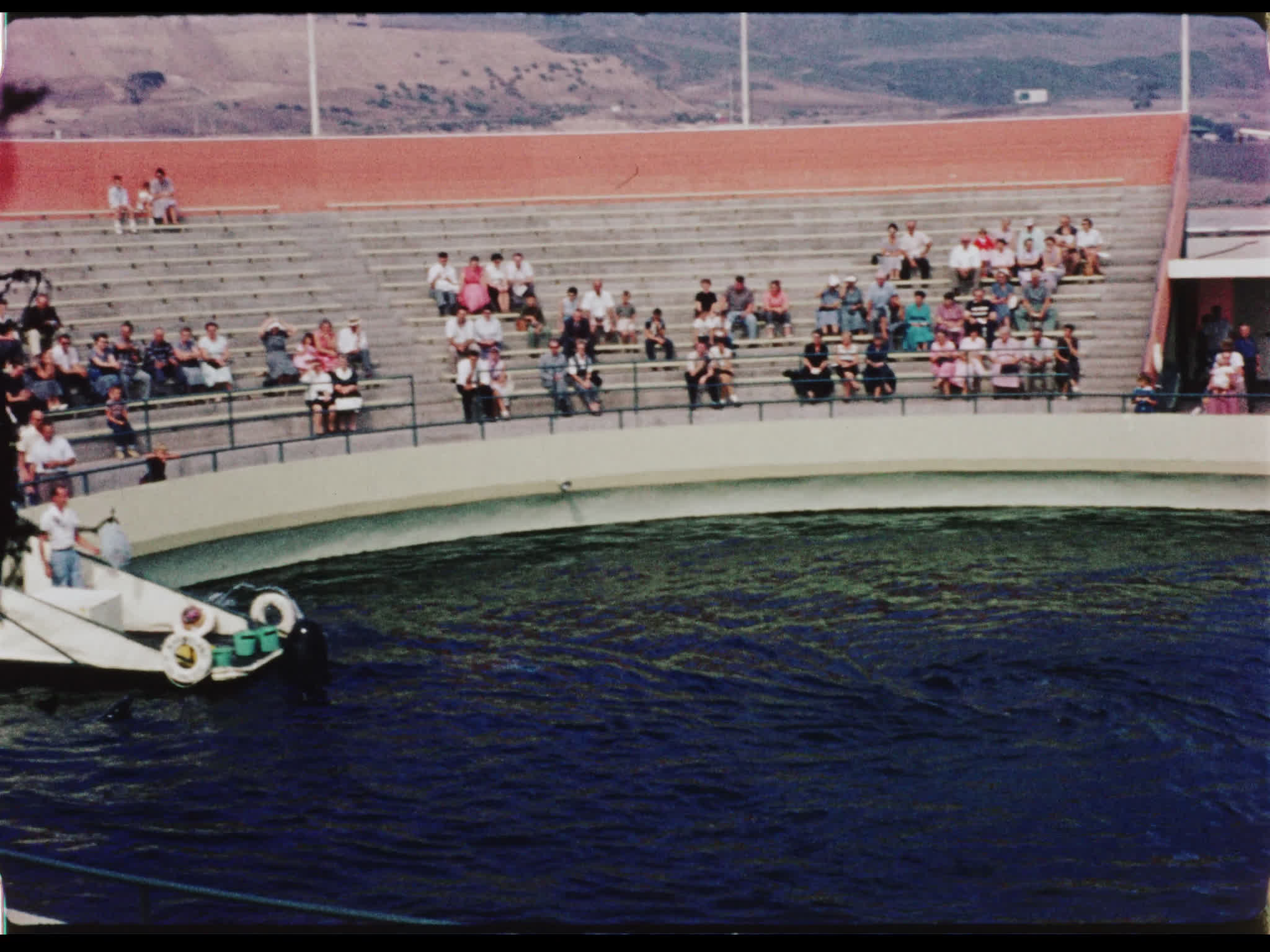 Dolphin and Pilot Whale Show at Marineland of the Pacific