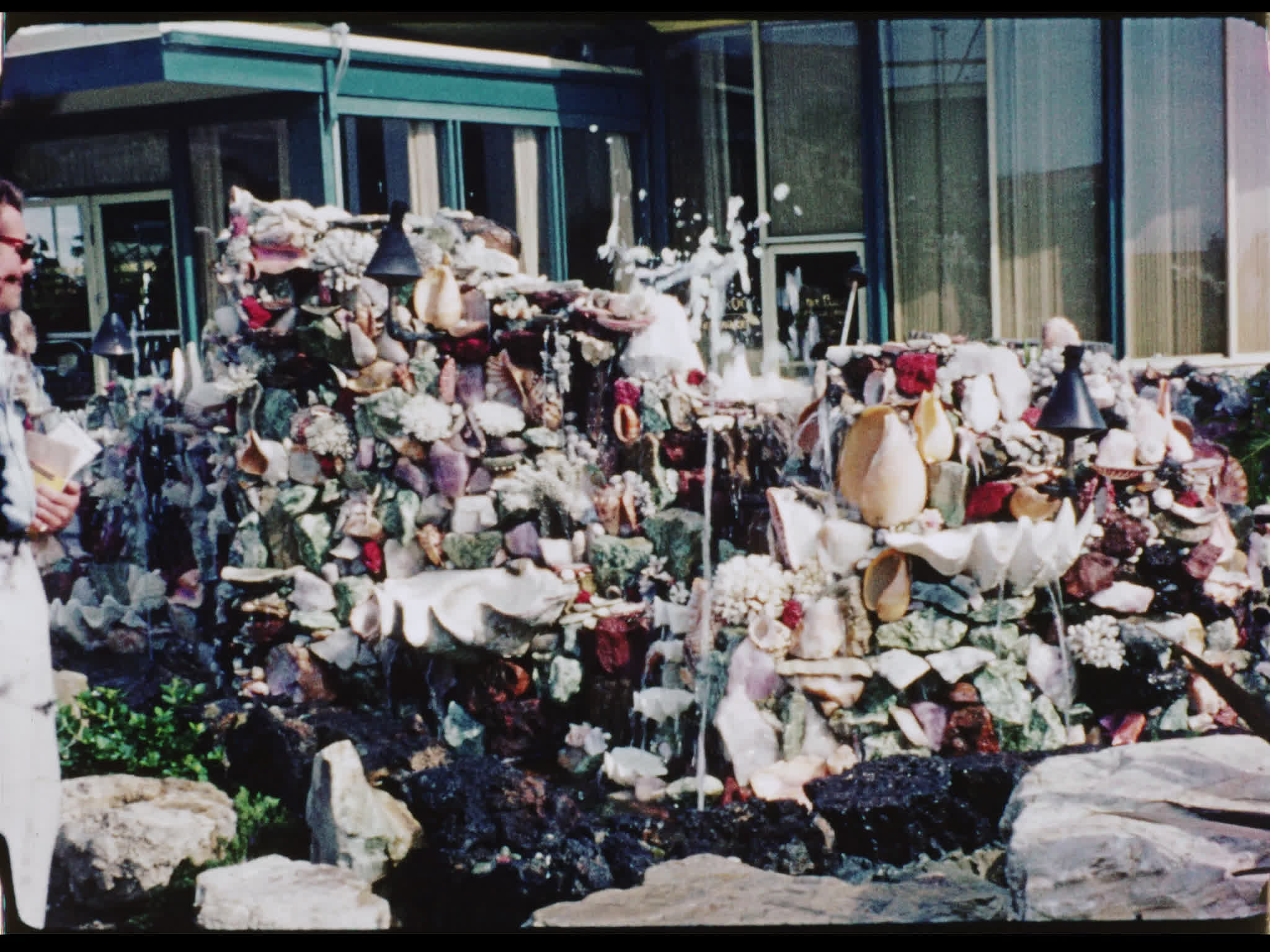 Seashells Display at Marineland of the Pacific