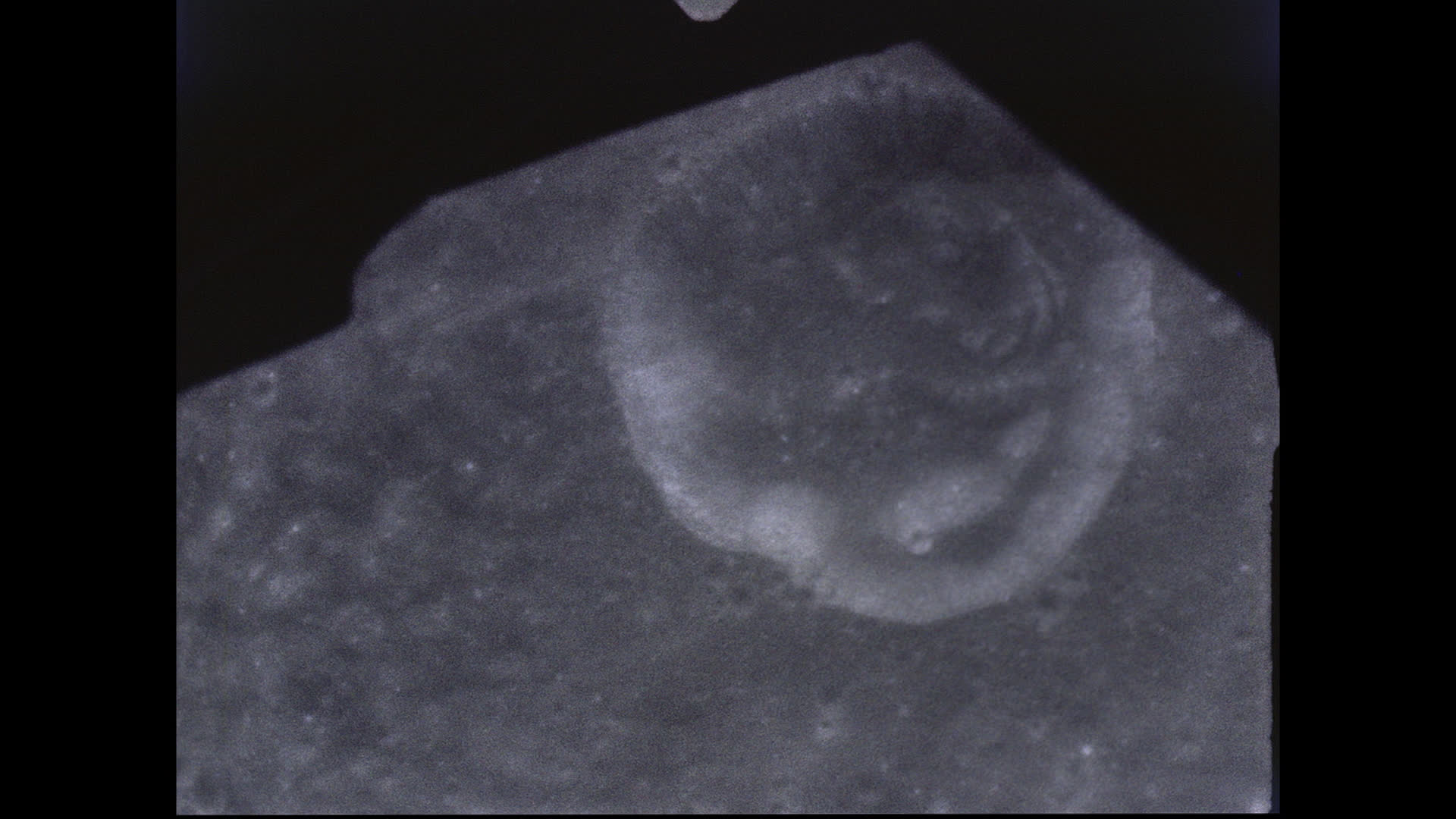 Apollo 8's View of the Moon