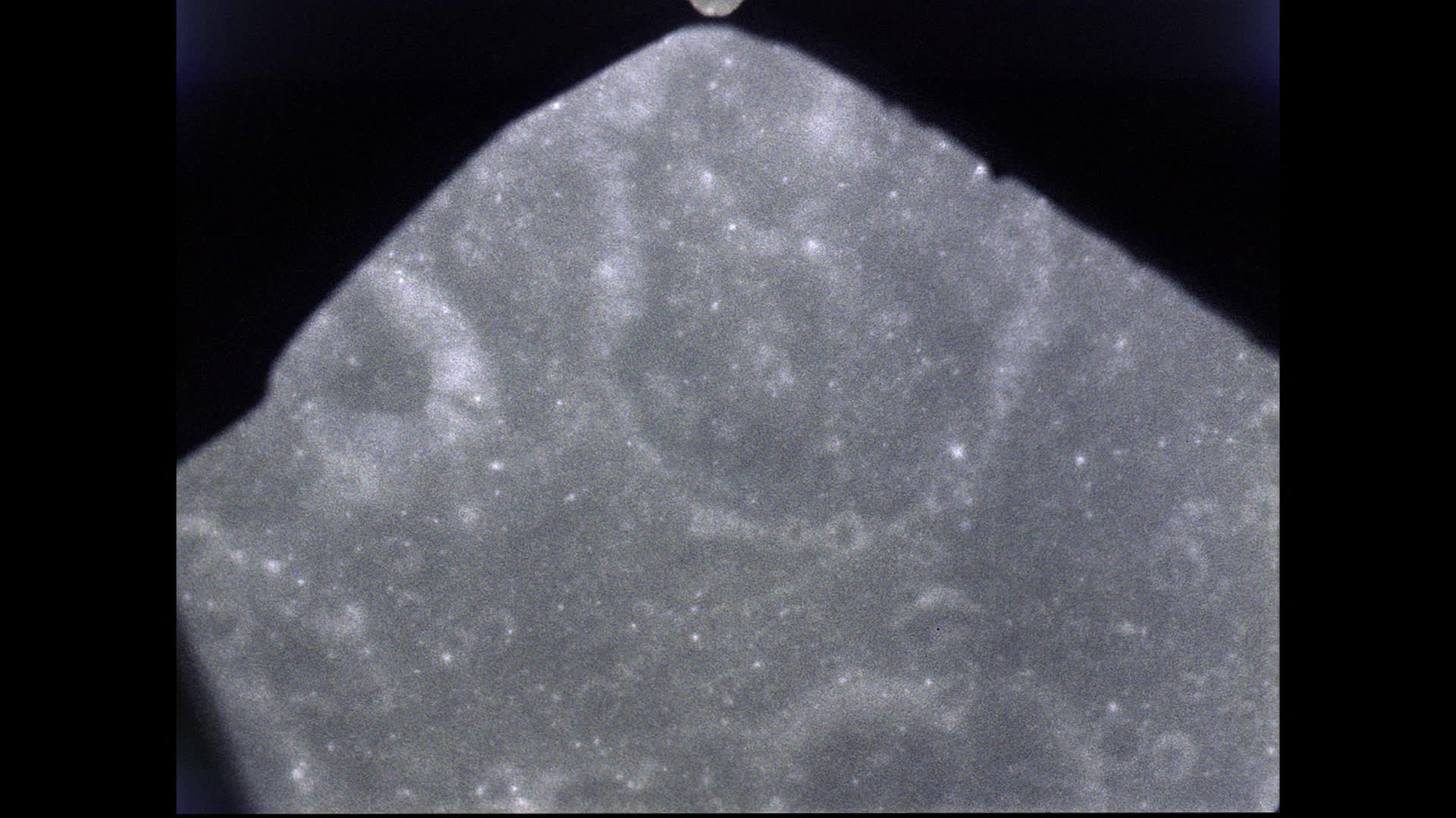 Apollo 8's View of the Moon